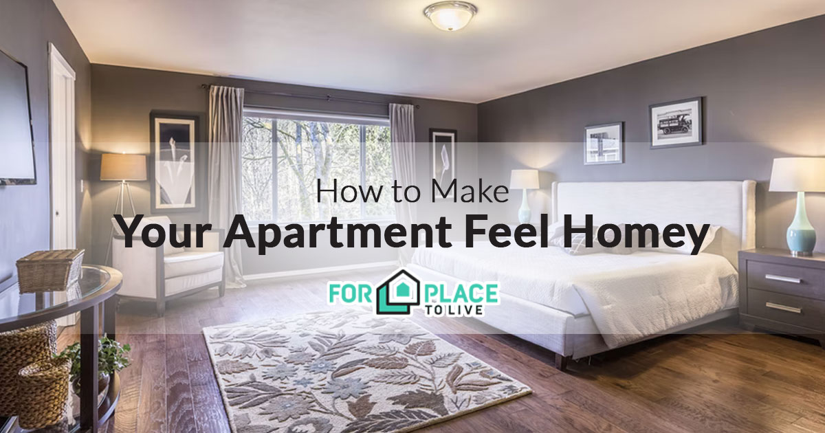 How to Make Your Apartment Feel Homey
