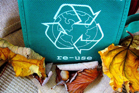 Use Reusable Bag