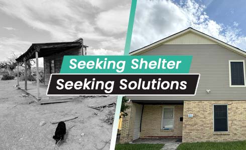 Seeking Shelter/Seeking Solutions video thumb